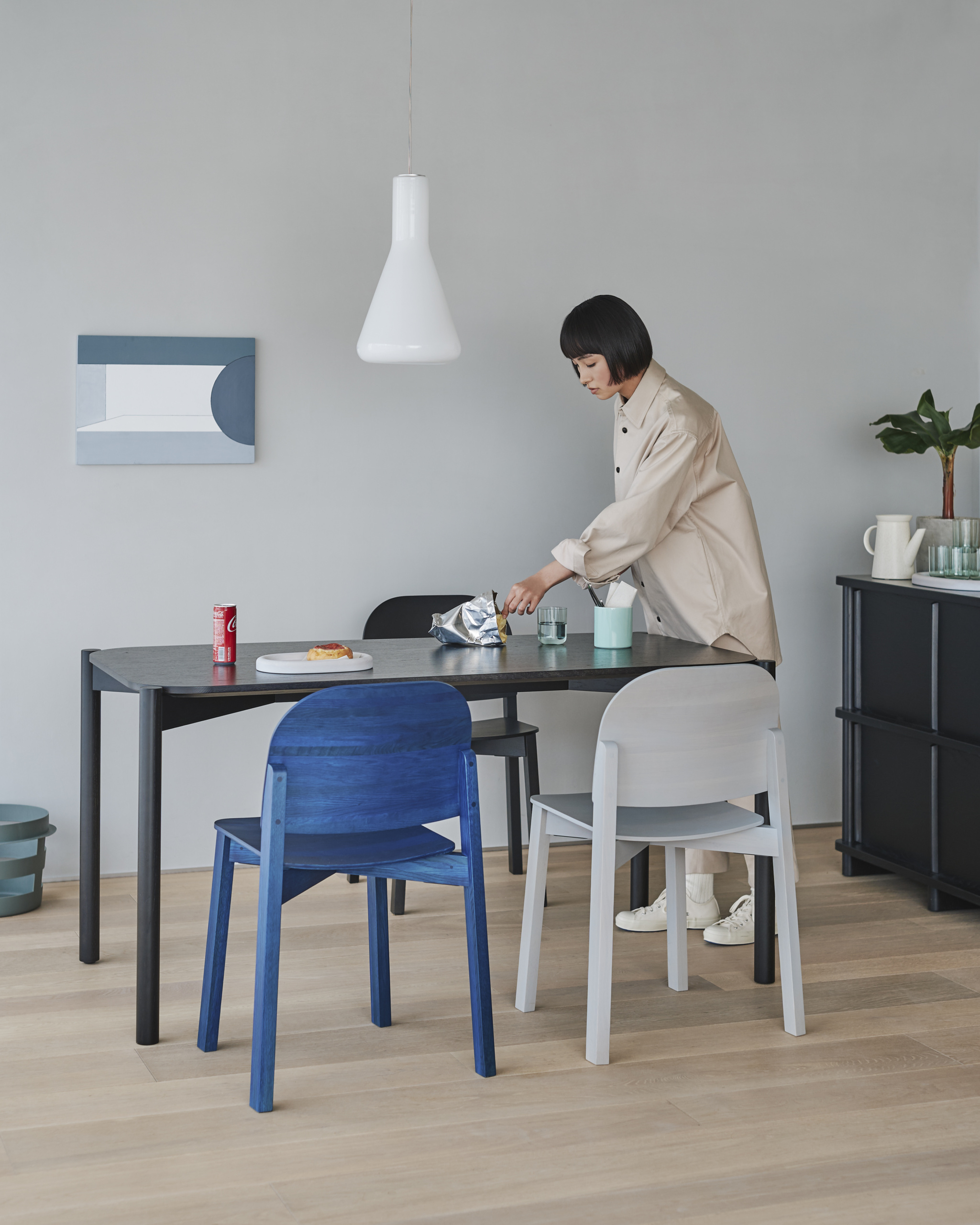 KARIMOKU NEW STANDARD (KNS) ‒ Founded by leading Japanese